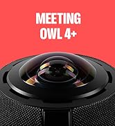 Meeting Owl 4