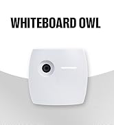 Whiteboard Owl