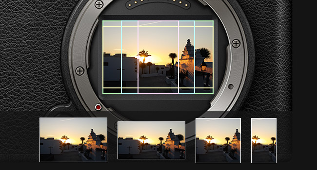 close up of camera sensor with image of sunset and palm trees overlaid in the sensor area