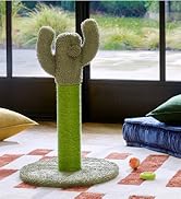 Amazon Basics Cactus Cat Scratching Post with Dangling Ball, 25.6 Inches, Green